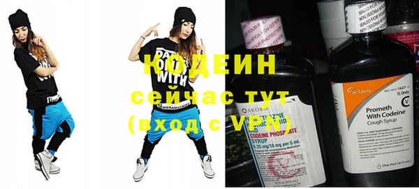 прущие грибы Краснослободск