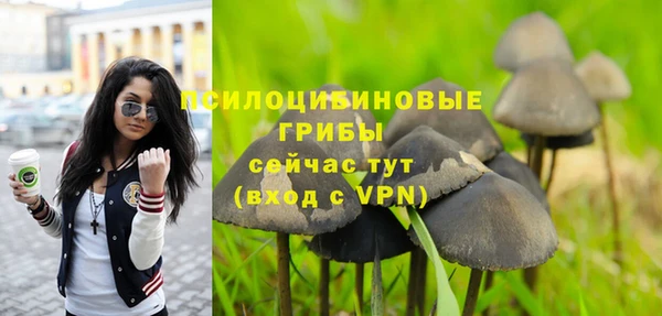 прущие крисы Кодинск