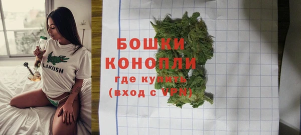 прущие грибы Краснослободск