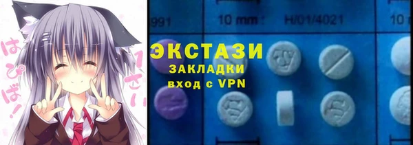 прущие грибы Краснослободск