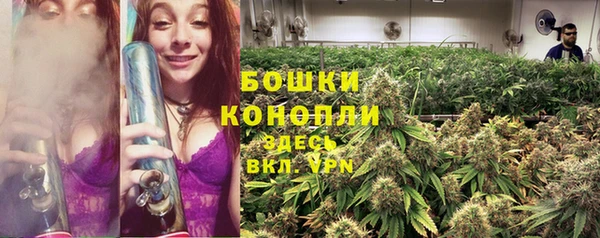 скорость Козловка