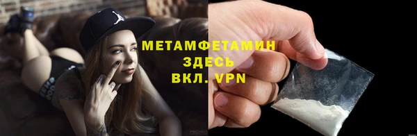 прущие грибы Краснослободск