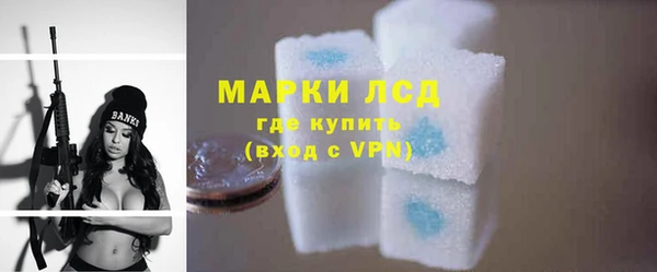 прущие грибы Краснослободск