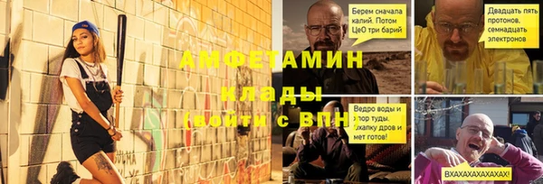 прущие грибы Краснослободск