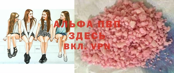 прущие грибы Краснослободск